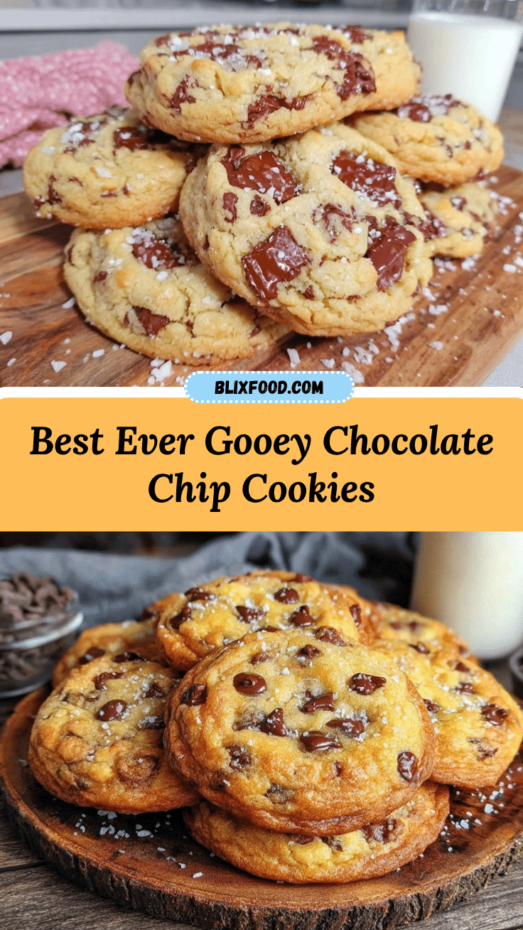 chocolate chip cookies recipe