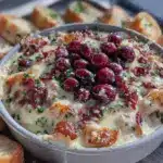 creamy cranberry bacon Swiss cheese dip - featured image