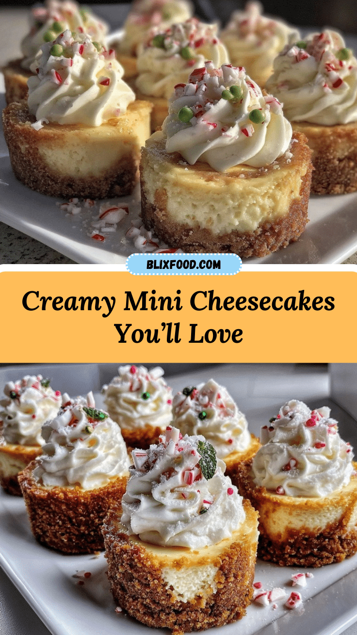 creamy mini cheesecakes recipe