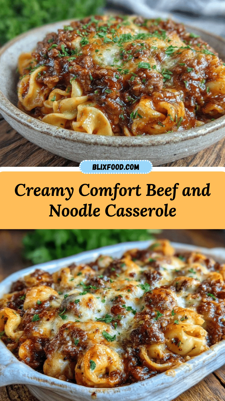 cozy beef and noodle casserole recipe
