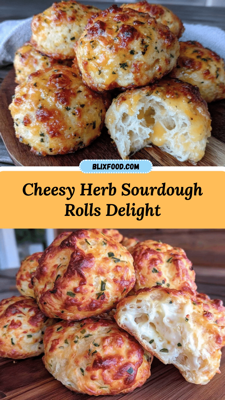 crispy cheese and herb sourdough rolls recipe