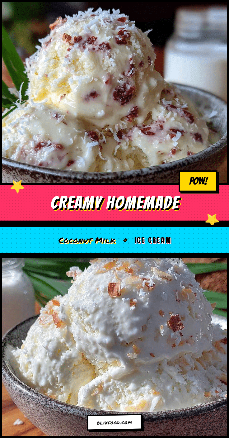 creamy homemade coconut milk ice cream recipe recipe