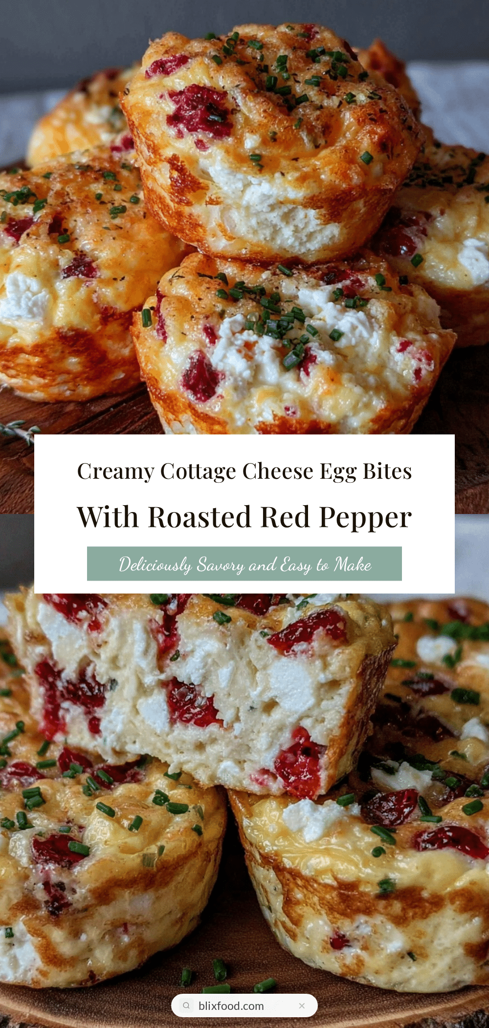 creamy cottage cheese egg bites recipe