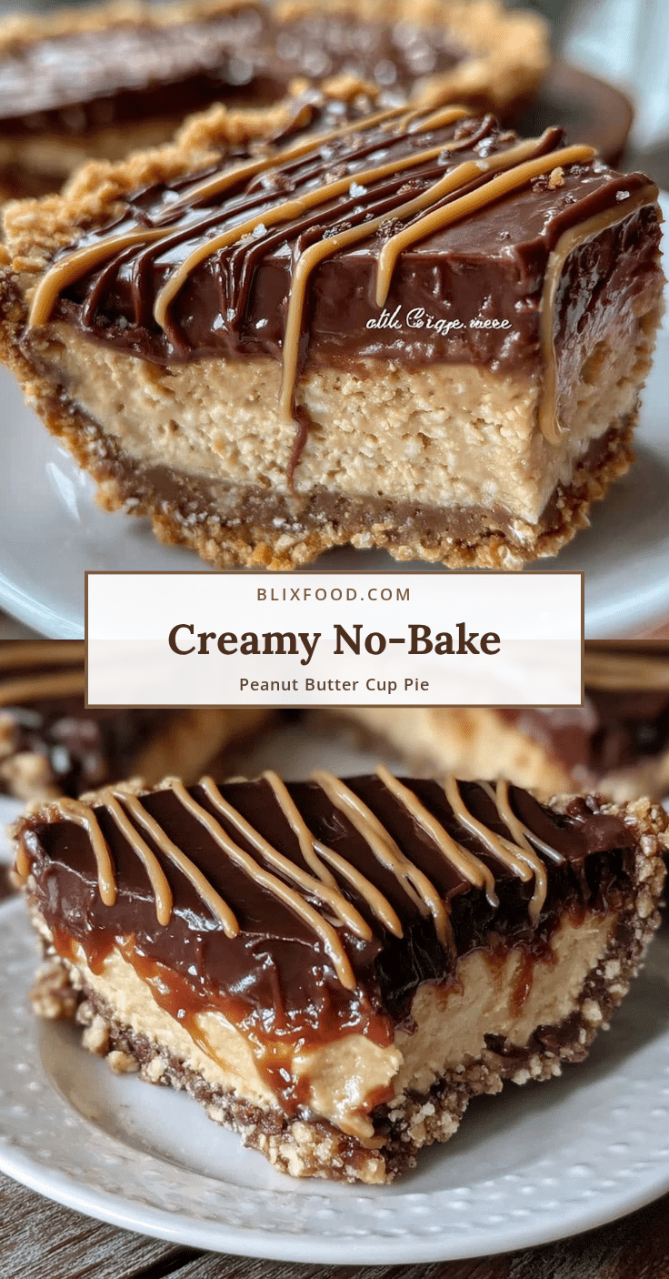 creamy no-bake peanut butter cup pie recipe