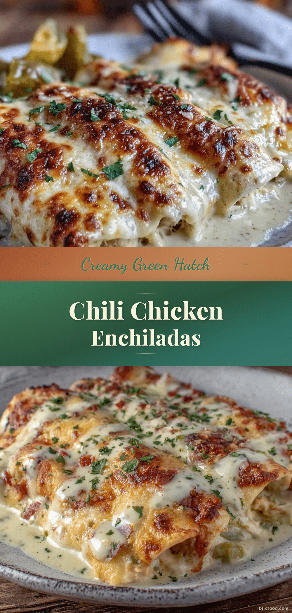 creamy green hatch chili chicken enchiladas recipe